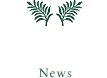 アンダの森 最新情報