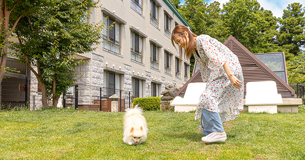 【伊豆高原】愛犬と泊まれる温泉リゾート 伊豆高原 愛犬お宿