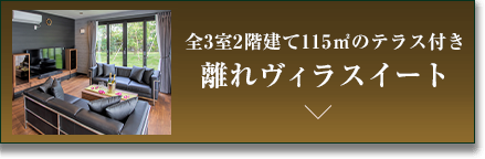 全3室2階建て115㎡のテラス付き 離れヴィラスイート